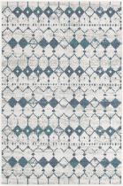 RugPal Indoor/Outdoor Outdoor Preen Area Rug Collection